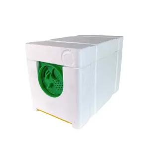 Nuovo Design 4 telai EPS Bee Hive in vendita Mini schiuma polistirene Nuc Box Queen Breeding Kit