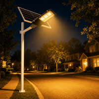 Lampadaire Solaire à Haute Luminosité 100W 200W IP65 Étanche pour Éclairage de Sécurité Extérieur des Routes Rurales en Afrique