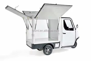 Tiongkok penjualan paling laris baru skuter kargo listrik EEC Van roda tiga pengiriman rantai dingin tertutup kargo beku - Product Image 4