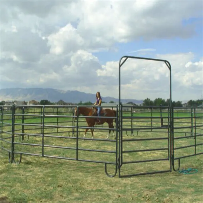 Alta calidad portátil usado galvanizado tubo de metal valla paneles caballo estable valla