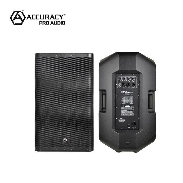 Accuracy Pro Audio CAU12ADA 500W RMS 12 Inch Powered Speakers Professional Audio Digital Plastic Active Speaker