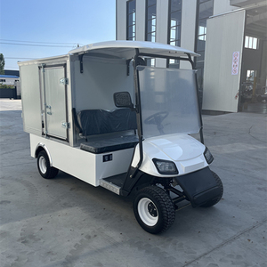 Elegante Carro de Golf de 2 Plazas con Caja para Uso Urbano, Velocidad de 30-50 km/h y Autonomía de 50-70 km, Carro Listo para Circular en la Calle, Carro de Golf Único de 2 Plazas - Product Image 2