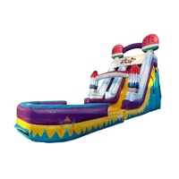 Nouveau style 2026 Toboggan aquatique commercial double gonflable en PVC de haute qualité pour extérieur, thème crème glacée, avec petite piscine et souffleur, facile à louer