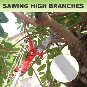 SUNSHINE High Reach Extendable Fruit Picker Tree Shears Long Telescopic Pole Branch <strong>Pruner</strong> Loppers Stainless Steel Aluminum - Product Image 3