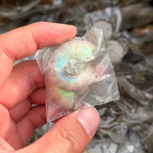 Tranche d'Ammonite Arc-en-ciel Esthétique, Pierre de Cristal Irisée pour Guérison Métaphysique, Méditation, Décoration, Cadeau Scientifique Unique - Product Image 4