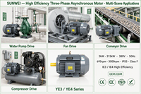 Moteur asynchrone triphasé Sunwei YE3 11KW 15HP 380V en fonte IP54/IP55/IP56 IC411 Refroidissement 50/60Hz CE