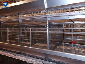 Nouvelles cages à poules automatiques de type H en acier à 4 niveaux JiHua pour la ponte des œufs, assemblées pour les élevages avicoles - Product Image 5