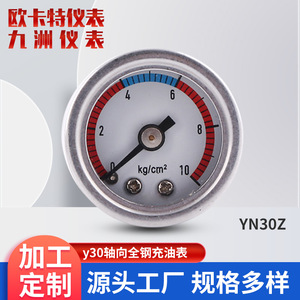 Manomètre axial à liquide de 30 mm YN30Z en fonte pour la mesure industrielle - Product Image 3
