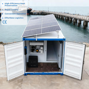 <span class=keywords><strong>Chambre</strong></span> <span class=keywords><strong>Froide</strong></span> Conteneurisée de 20 Pieds à Énergie Solaire, Stockage Frigorifique Portable pour Poissons, Viandes, Fruits et Légumes à Vendre - Product Image 4