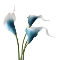 Mini fleur artificielle en PU Calla Lily faite à la main, réaliste, décoration d'intérieur, bouquet de mariage