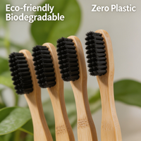 Têtes de rechange pour brosse à dents électrique 100 % biodégradables et écologiques en poils de sanglier et de cheval, souples, pour usage domestique