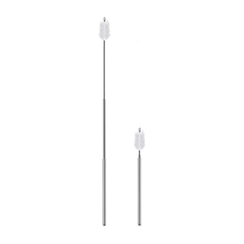telescopic brush
