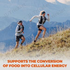 JULONG OEM Label Vitamine B12 Liquide en Gouttes Complexe de Vitamines B Végétalien B12 Sublingual 5000 mcg avec Vitamine B6 Liquide en Gouttes - Product Image 3