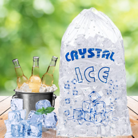 Sac d'emballage personnalisé réutilisable en plastique transparent pour glaçons de 5, 8, 10, 15, 20 lb avec cordon de serrage