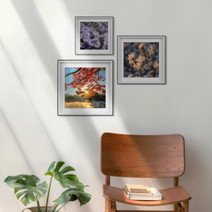 Großhandel Holzrahmen für Bilder Quadratisches Design Abgeschrägte Kanten Schwarz und Weiß Maßgefertigter Holz-Fotorahmen Familiendekoration - Product Image 1