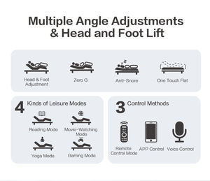 Dreamotion โครงเตียงปรับความสูงได้หลายมุมสำหรับดูแลผู้สูงอายุ - Product Image 5