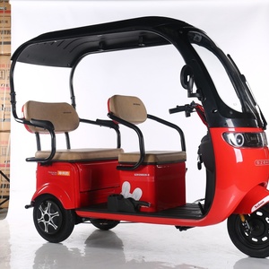 Triciclo Eléctrico Cerrado de 3 Ruedas para Adultos, Marca Q5, Fabricado en China, con Cubierta para Lluvia, Motor de 48V 600W, Velocidad Máxima de 50-70 km/h - Product Image 2