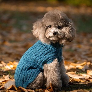 Cozy <span class=keywords><strong>Pet</strong></span> Vestuário Camisola simples do cão do estilo Turtleneck Design térmico Elastic Fit Snug Envoltório Mohair Spray Fio Algodão resistente - Product Image 4