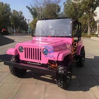 Voiturette de golf tout-terrain 150cc 200cc 250cc, mini-jeep automatique à essence 2/4 places, véhicule utilitaire électrique pour adultes, buggy