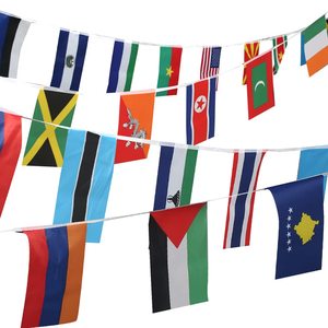 Pas cher 14*21cm <span class=keywords><strong>2022</strong></span> Fans <span class=keywords><strong>De</strong></span> Football 32 Équipe National Drapeau Étanche Monde Bunting String Drapeau pour Décoration Suspendue - Product Image 2
