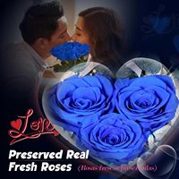 Rosa Azul Real Preservada con Collar de Plata de Ley, Set de Regalo de Flor Eterna, Regalos de San Valentín para Esposa o Boda