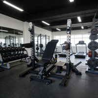 Banc de musculation professionnel combiné inclinable et déclinable, station d'haltérophilie réglable au design innovant pour usage en salle de sport