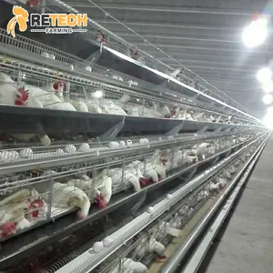 Retech Farming Chicken Cage System Automatic Control Shed Poultry Egg Layer Farming Equipment