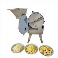 Multifunctionele snijmachine voor groenten en fruit, roestvrij staal 304, motor aangedreven, commercieel gebruik