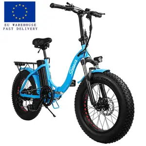 승진 중국 전기 자전거 EU 두 사람 전자 자전거 Pieghevole 여성 전자 자전거 EU 창고 접이식 Fatbike