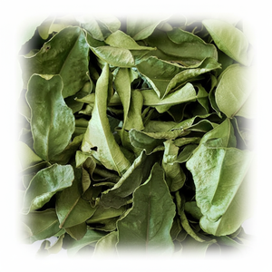 ใบมะกรูดไทยแบบพรีเมี่ยมใบมะกรูดแบบไทยแท้ - Product Image 1