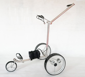Voiturette de golf en acier inoxydable, résistante à la rouille et aux intempéries, équipée d'une batterie au lithium - Product Image 2