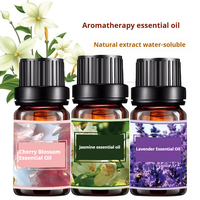 Chambre Ménage Lavande Huile D'aromathérapie Plante Soluble Dans L'eau 10ml Humidificateur Diffuseur Aroma Huile Essentielle