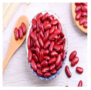 Factory Directly Wholesale Red Kidney Beans 2022 Long Shape Dark Red Kidney Beans