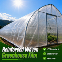 Film de serre en polyéthylène tissé, stabilisé aux UV, transparent, couverture en bâche, épaisseur personnalisable, durée de vie 5+ ans pour