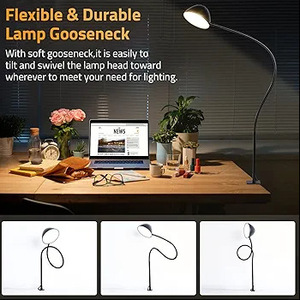 Lampe de bureau LED 3 couleurs de type corne avec base <span class=keywords><strong>à</strong></span> <span class=keywords><strong>pince</strong></span>, col de cygne réglable, lampe USB <span class=keywords><strong>à</strong></span> clip pour armoire, bureau, chevet, petite lampe de lecture - Product Image 6