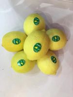 Fruits Citronnés - Certifiés ISO, Oranges et Citrons Frais d'Origine Chine, Emballés en Ferme, Taille 65-100 cm, Qualité Supérieure, Vrac/Carton, Durée de Conservation 1 An