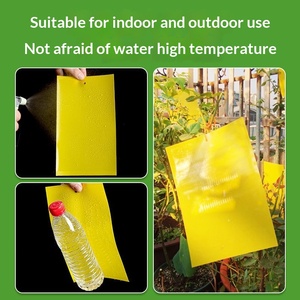 Tabla adhesiva amarilla de doble cara de 20*25 cm, de larga duración para mosquitos, mosquitos de la moho, tripas y mineras de hojas - Product Image 3