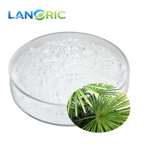 プロモーション価格 脂肪酸25% 45% ソーパルメットエキス粉末 - Product Image 2