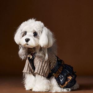 <span class=keywords><strong>2026</strong></span> Sonbahar Kış Modası Köpek Evcil Hayvanı Yakışıklı Deri Etek Elbise - Product Image 6