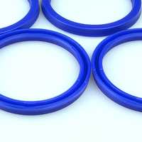 Joints toriques INDEL IUIS de haute qualité en PTFE et PU pour applications mécaniques - Tailles standard