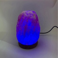 Petites lampes au sel de l'Himalaya cristal de roche naturel énergie négative lumières à intensité variable pour la décoration intérieure cadeau de vacances