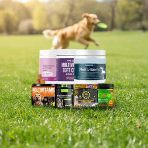 Masticables Blandos Multivitamínicos para Perros, Suplemento para el Cuidado de la Salud de las Mascotas, Apoya la Salud del Corazón, la Piel, el Intestino y las Articulaciones - Product Image 1