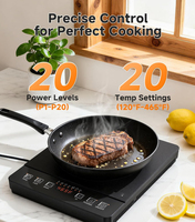 Table de cuisson à induction portable, 1800W, 20 niveaux de température et de puissance, minuteur