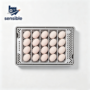 Incubateur d'œufs automatique de type à rouleaux, capacité 20 œufs, petit incubateur pour œufs de poulet, canard, oie, dinde et oiseaux - Product Image 4