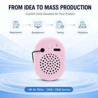 Module vocal IA intégré pour jouets en peluche avec Wi-Fi, BLE, chargement Type-C, double microphone, chat IA cloud et prise en charge OTA