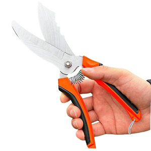 Tijeras para ajo de acero inoxidable con mango naranja para cosechar ajo y uso en jardinería - Product Image 5