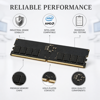 Module de mémoire DDR5 5600 MHz, vente en gros, fabricant OEM, 16 Go 32 Go, fournisseur de mémoire informatique en Chine