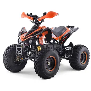 Китайская популярная 4 Wheeler Quad фермы ATV для взрослых для продажи