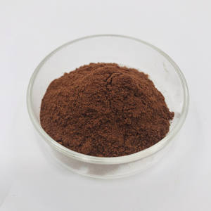 <span class=keywords><strong>Salvia</strong></span> <span class=keywords><strong>Miltiorrhiza</strong></span> Chiết Xuất Từ Rễ Axit Salvianolic B 7% 10% 60% Chiết Xuất Danshen Chiết Xuất <span class=keywords><strong>Salvia</strong></span> <span class=keywords><strong>Extract</strong></span> - Product Image 2