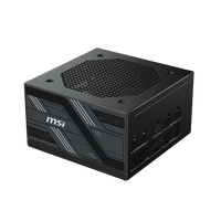 Yeni MSI PAG pcils PCIE5 80 + altın tam modüler güç kaynağı 750W masaüstü için yerli 12V-2x6 kablo ile RTX40/50 GPU oyun PC PSU